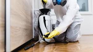 Best Pest Control for Hotels  in Houma, LA